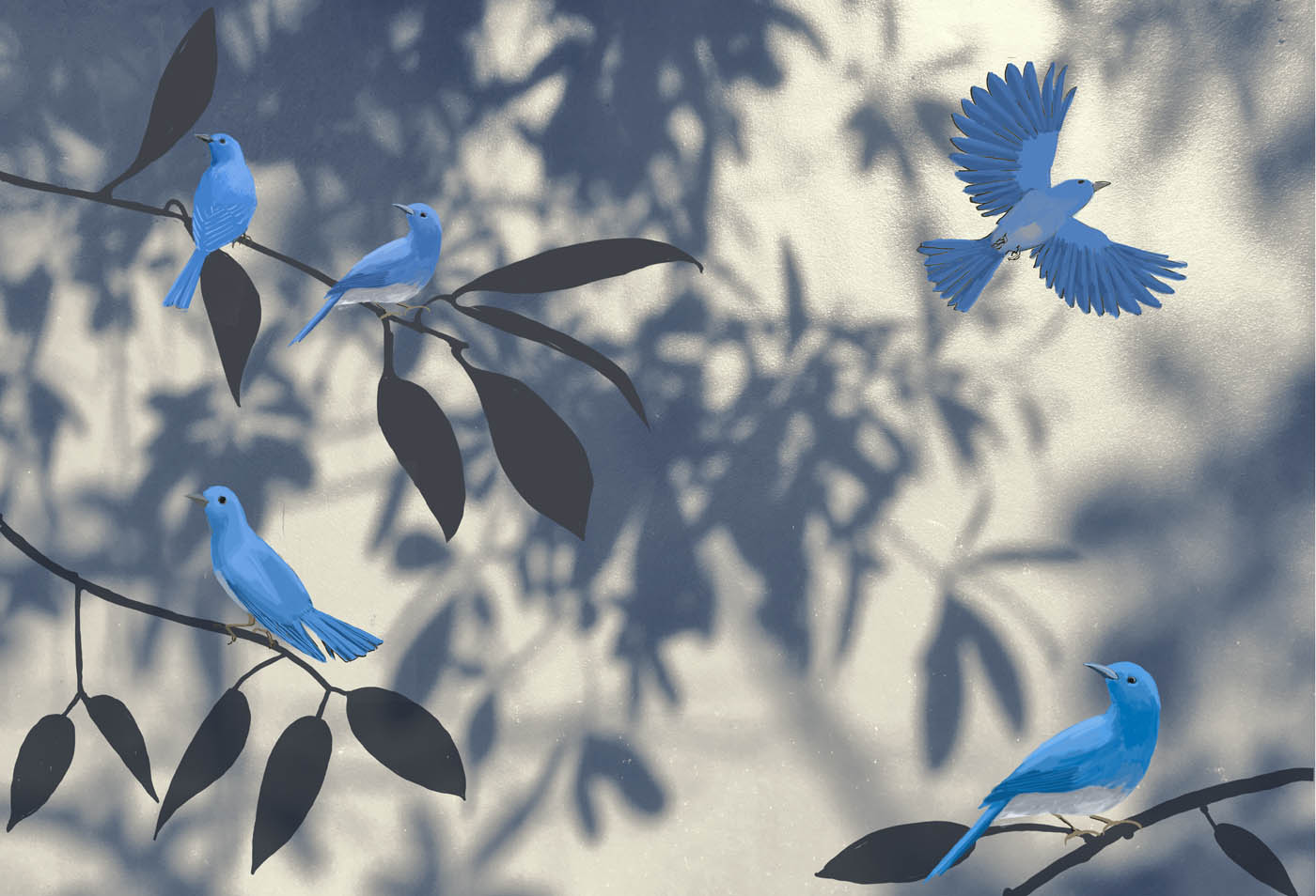 oiseaux bleus